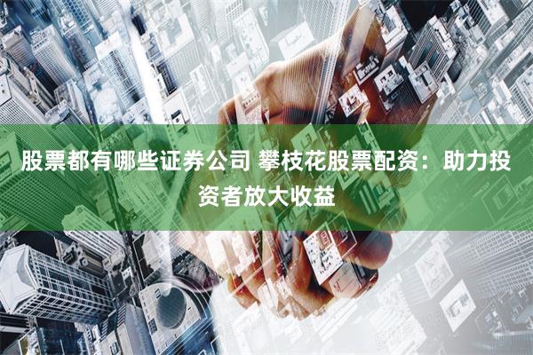股票都有哪些证券公司 攀枝花股票配资：助力投资者放大收益