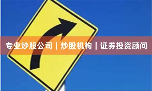 专业炒股公司｜炒股机构｜证券投资顾问