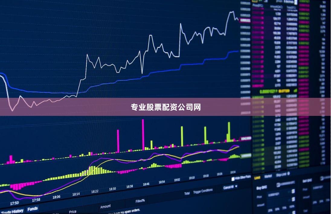 专业股票配资公司网